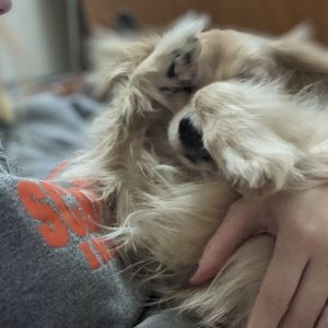 A baby is coming! Clear out time!